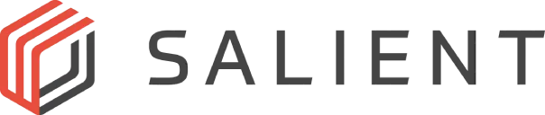 Salient Systems logo